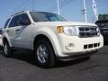 2010 White Suede Ford Escape XLT V6  photo #1