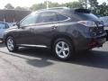 Smokey Granite Mica - RX 350 AWD Photo No. 4