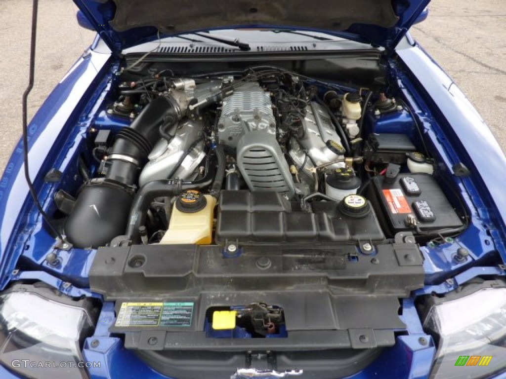 2003 Ford Mustang Cobra Convertible 4.6 Liter SVT Supercharged DOHC 32-Valve V8 Engine Photo #53489191