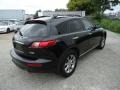 Black Obsidian - FX 35 AWD Photo No. 8