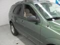 2004 Ivy Green Metallic Kia Sorento LX  photo #17