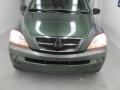 2004 Ivy Green Metallic Kia Sorento LX  photo #20