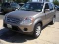 Pewter Pearl - CR-V Special Edition 4WD Photo No. 1