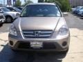 Pewter Pearl - CR-V Special Edition 4WD Photo No. 2