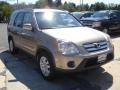 Pewter Pearl - CR-V Special Edition 4WD Photo No. 3