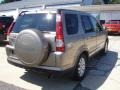 Pewter Pearl - CR-V Special Edition 4WD Photo No. 4