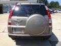 Pewter Pearl - CR-V Special Edition 4WD Photo No. 5