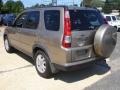 Pewter Pearl - CR-V Special Edition 4WD Photo No. 6