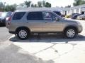 Pewter Pearl - CR-V Special Edition 4WD Photo No. 7