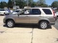 Pewter Pearl - CR-V Special Edition 4WD Photo No. 9