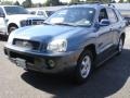 Crystal Blue 2002 Hyundai Santa Fe Gallery