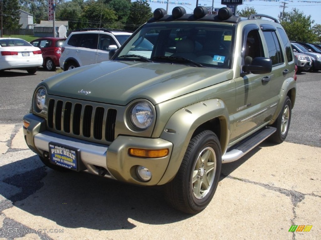 2003 Liberty Renegade 4x4 - Cactus Green Pearl / Light Taupe/Dark Slate Gray photo #1