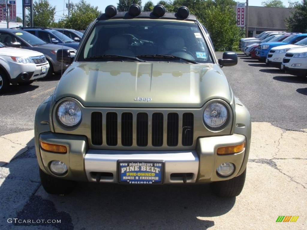 2003 Liberty Renegade 4x4 - Cactus Green Pearl / Light Taupe/Dark Slate Gray photo #2