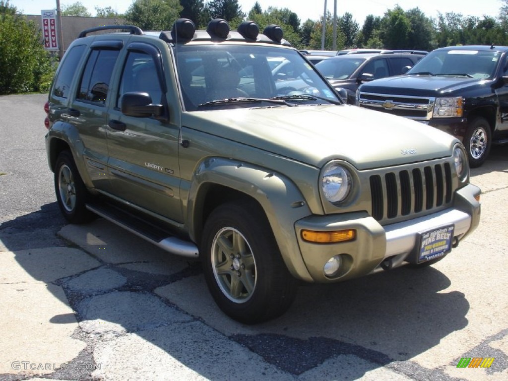 2003 Liberty Renegade 4x4 - Cactus Green Pearl / Light Taupe/Dark Slate Gray photo #3