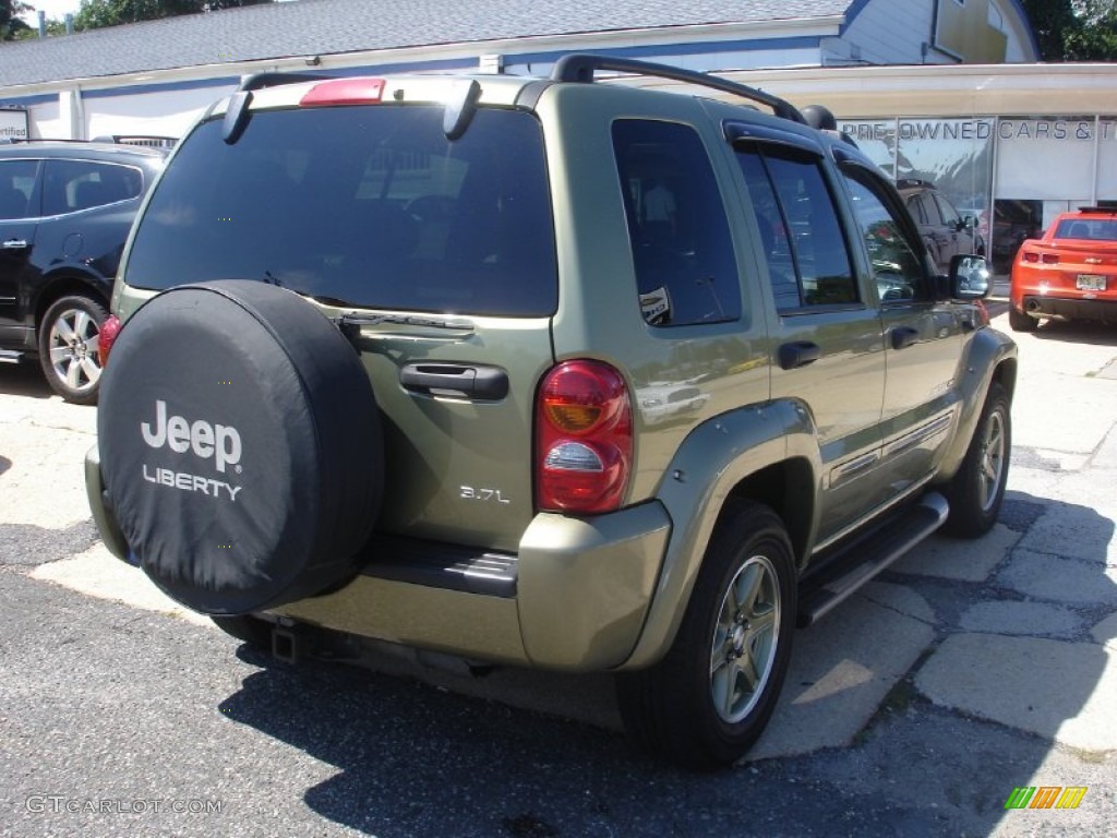 2003 Liberty Renegade 4x4 - Cactus Green Pearl / Light Taupe/Dark Slate Gray photo #4