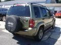 2003 Cactus Green Pearl Jeep Liberty Renegade 4x4  photo #4