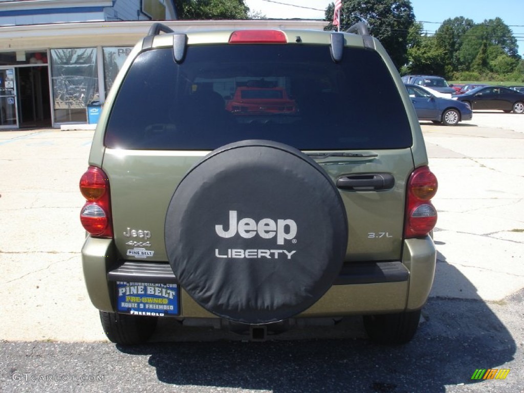 2003 Liberty Renegade 4x4 - Cactus Green Pearl / Light Taupe/Dark Slate Gray photo #5