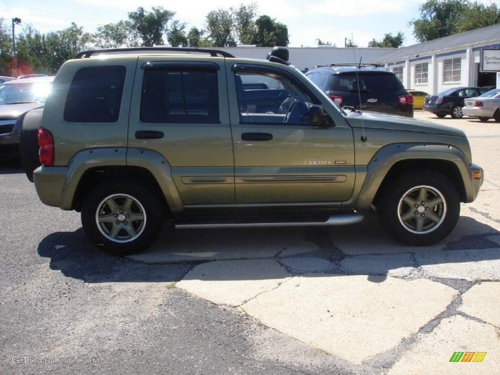 2003 Liberty Renegade 4x4 - Cactus Green Pearl / Light Taupe/Dark Slate Gray photo #7