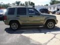 2003 Cactus Green Pearl Jeep Liberty Renegade 4x4  photo #7