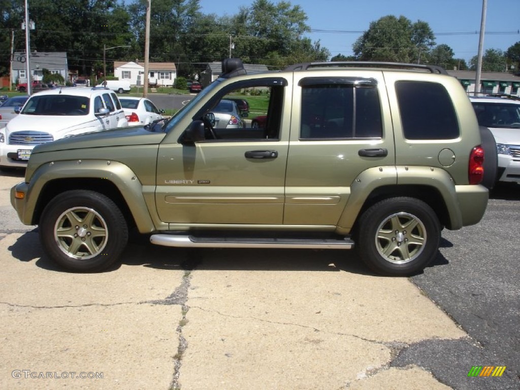 2003 Liberty Renegade 4x4 - Cactus Green Pearl / Light Taupe/Dark Slate Gray photo #9