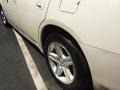 Stone White - Charger SXT Photo No. 4