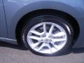 Ocean Gray - Maxima 3.5 SV Photo No. 9
