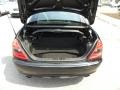 2008 Black Mercedes-Benz SLK 280 Edition 10 Roadster  photo #8