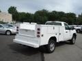 Summit White - Silverado 2500HD Regular Cab Chassis Photo No. 6