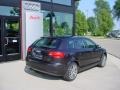 Lava Grey Pearl Effect - A3 2.0T Photo No. 3