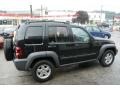 Black - Liberty Sport 4x4 Photo No. 4