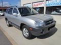 Smart Silver - Santa Fe GLS 4WD Photo No. 1