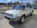 Smart Silver - Santa Fe GLS 4WD Photo No. 3