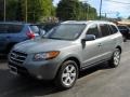 2007 Steel Gray Hyundai Santa Fe Limited  photo #1