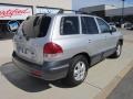 Smart Silver - Santa Fe GLS 4WD Photo No. 6