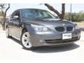 2009 Platinum Grey Metallic BMW 5 Series 528i Sedan  photo #1