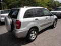 Titanium Metallic - RAV4 4WD Photo No. 5