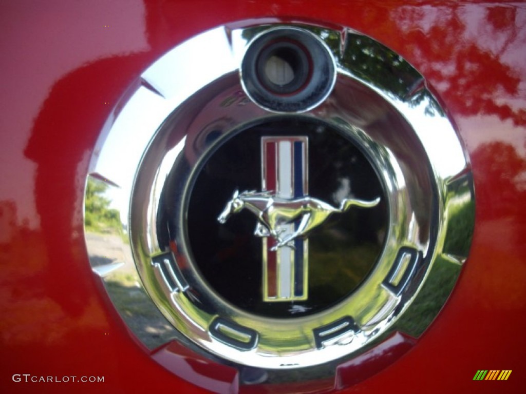 2007 Mustang V6 Deluxe Coupe - Torch Red / Dark Charcoal photo #10
