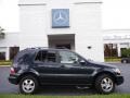 Black Opal Metallic 2002 Mercedes-Benz ML 320 4Matic Exterior