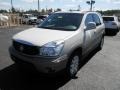 2006 Cappuccino Frost Metallic Buick Rendezvous CXL  photo #3