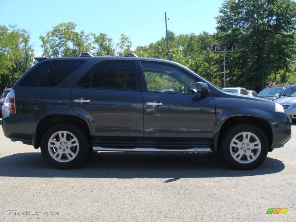 2004 MDX  - Sagebrush Pearl / Quartz photo #7