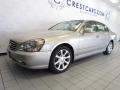 Desert Platinum - Q 45 Luxury Sedan Photo No. 7