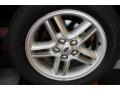 Bonatti Grey Metallic - Discovery SE Photo No. 19