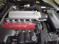 2005 Dodge Viper 8.3 Liter OHV 20-Valve V10 Engine Photo