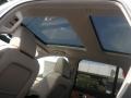 Ingot Silver Metallic - MKX AWD Photo No. 9