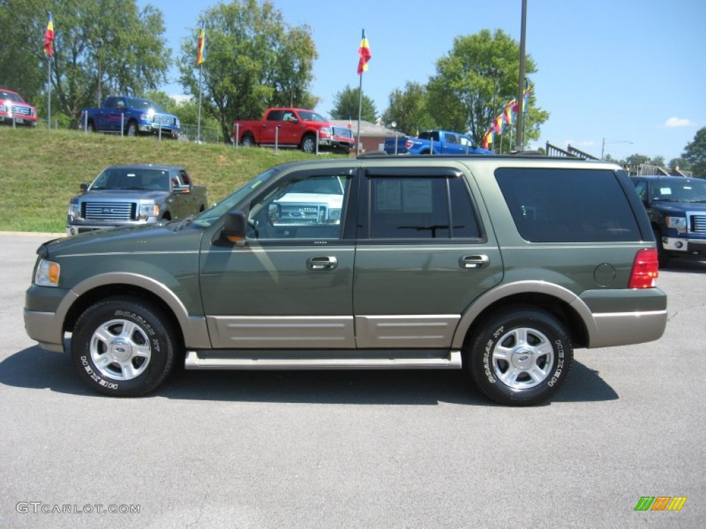 2004 Expedition Eddie Bauer 4x4 - Estate Green Metallic / Medium Parchment photo #1