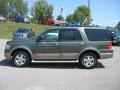 2004 Estate Green Metallic Ford Expedition Eddie Bauer 4x4  photo #1