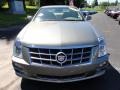 2010 Tuscan Bronze ChromaFlair Cadillac STS V6 Luxury  photo #3