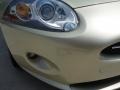 Winter Gold Metallic - XK XK8 Convertible Photo No. 13