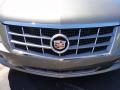 2010 Tuscan Bronze ChromaFlair Cadillac STS V6 Luxury  photo #28