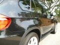 Black Sapphire Metallic - X5 4.8i Photo No. 11